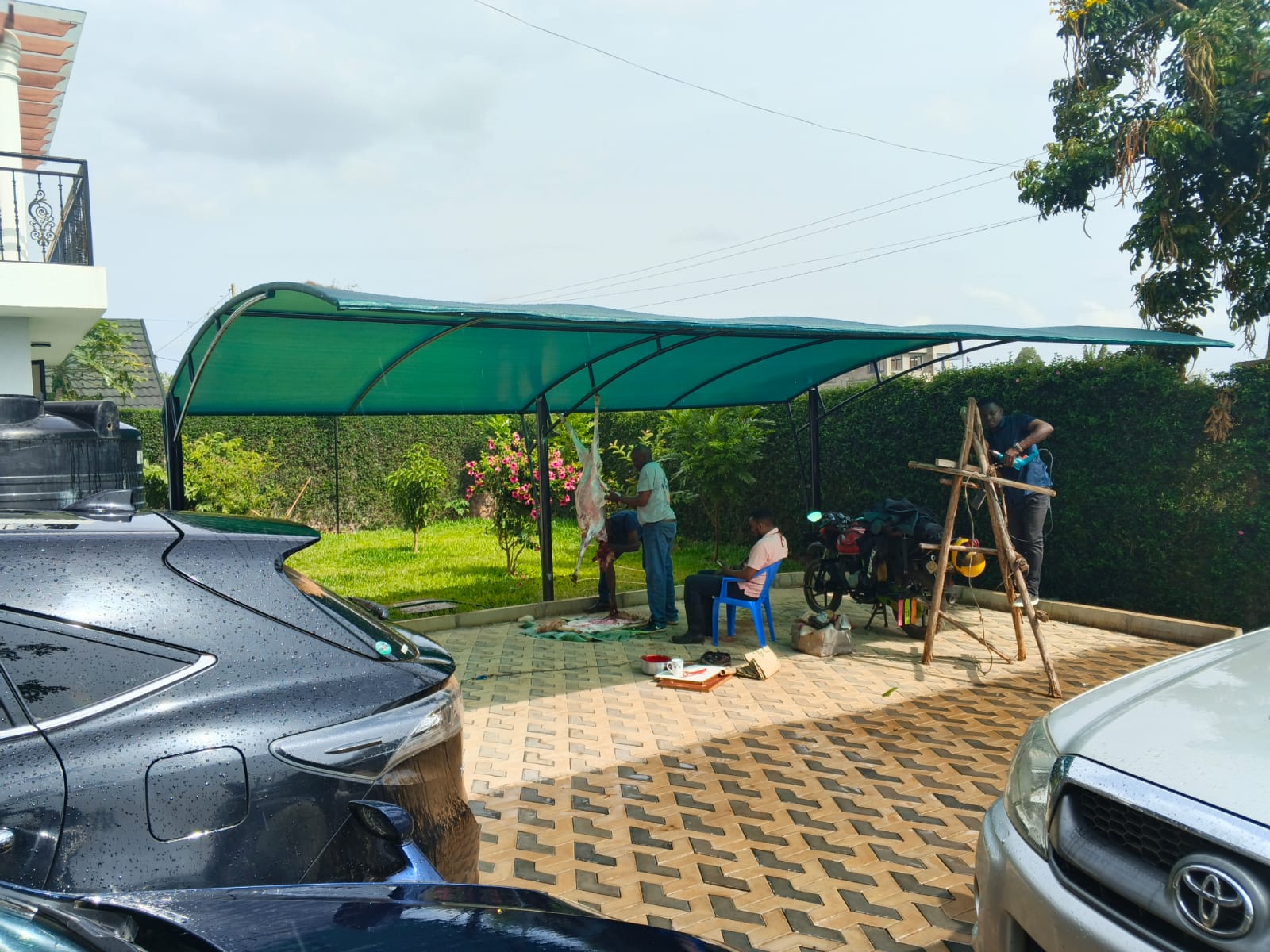 Wide shade and screening along a compound boundary